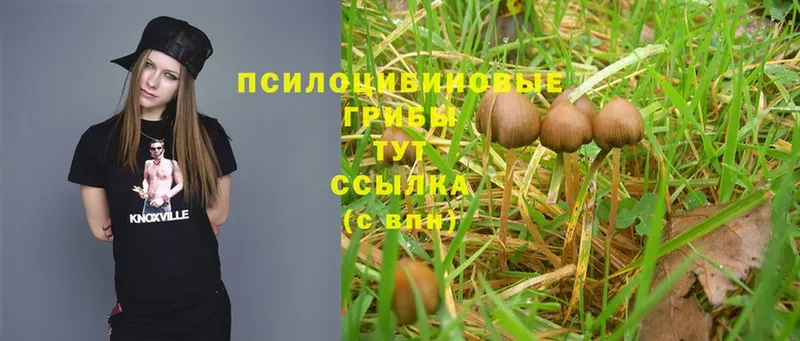 Псилоцибиновые грибы MAGIC MUSHROOMS  гидра   Азов 